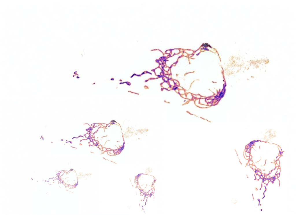 Biotech illustration